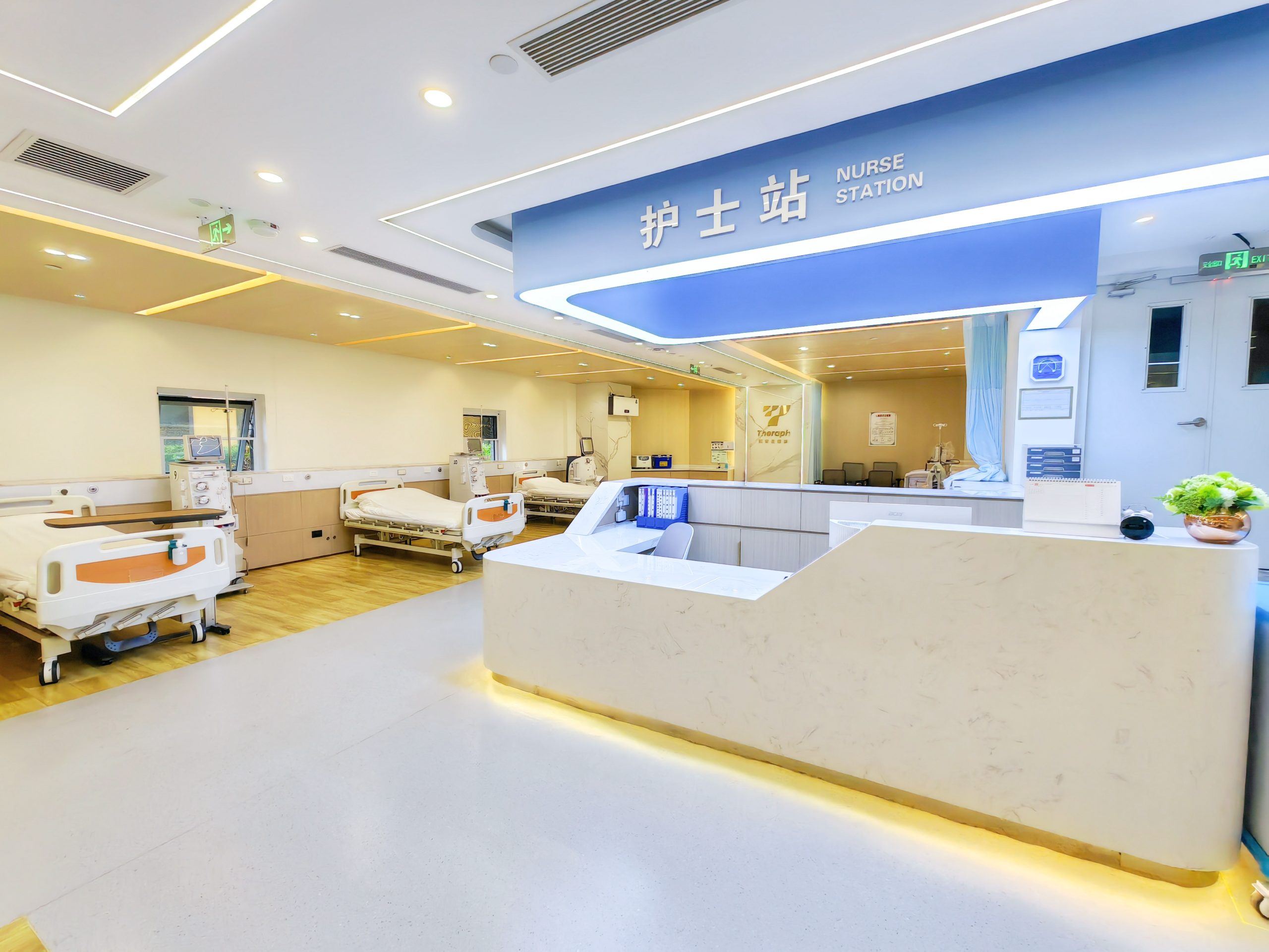 治疗区域